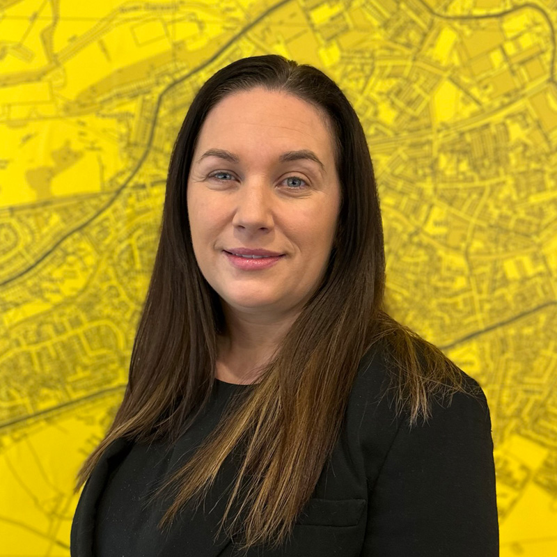 Hannah Wilson, Sales Negotiator
